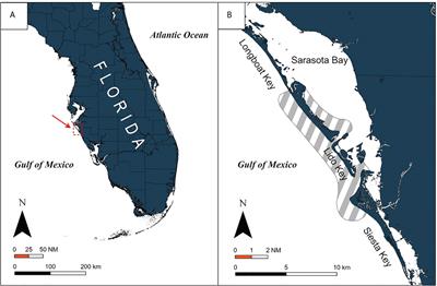 Whitespotted eagle ray (Aetobatus narinari) age and growth in wild (in situ) versus aquarium-housed (ex situ) individuals: Implications for conservation and management